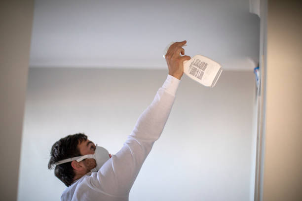 Certified Mold Removal in West Milwaukee, WI