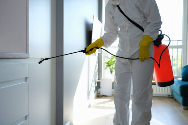 West Milwaukee, WI Mold Removal Company