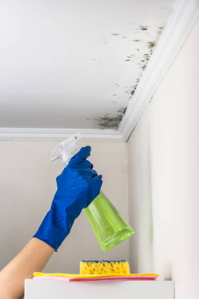 Best Crawl Space Mold Removal  in West Milwaukee, WI